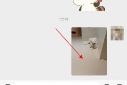 微信怎么把表情包保存到手机相册